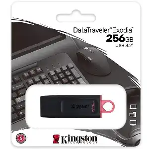 Kingston DataTraveler Exodia 256GB USB 3.2 (Gen 1) Flash Drive