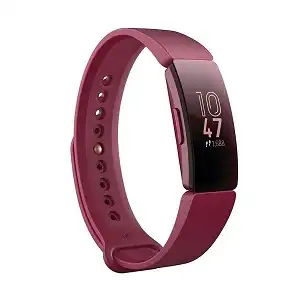 Fitbit Inspire Fitness Tracker Small and Large Wristbands - Sangria [USED]